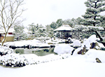 築山池泉の庭　冬