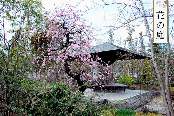 花の庭