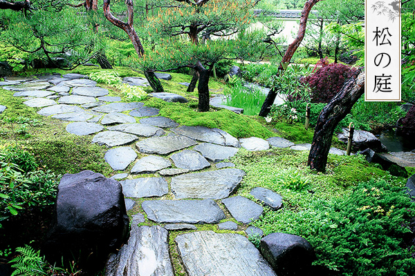 松の庭
