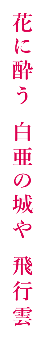 花に酔う 白亜の城や 飛行雲