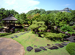 築山池泉の庭　夏