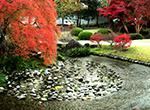 流れの平庭　しだれ紅葉