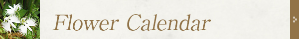 Flower Calendar