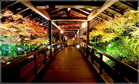 KOKO-EN is a popular beautiful sightseeing spot in Himeji City.