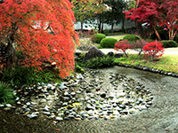 Flatly landscaped garden