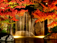 Waterfall lighting in the Garden of the Lord's residence