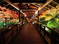 Roofed corridor in the Garden of the Lord's residence