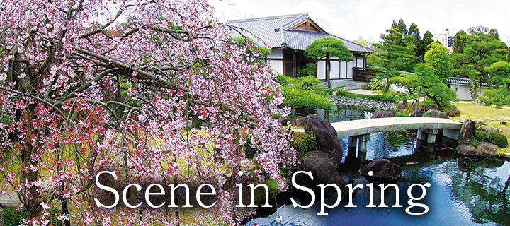 西園寺 01-52-600x450.jpg