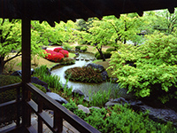 Flatly Landscaped Garden on Spring
