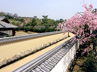 Roofed mud wall