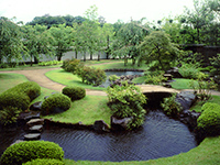 Flatly landscaped garden