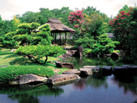 Garden with a hill and pond