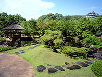 Garden with a hill and pond