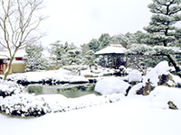 Garden with a hill and pond on Winter