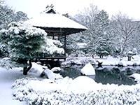 Rinsen-tei in Garden with a hill and pond