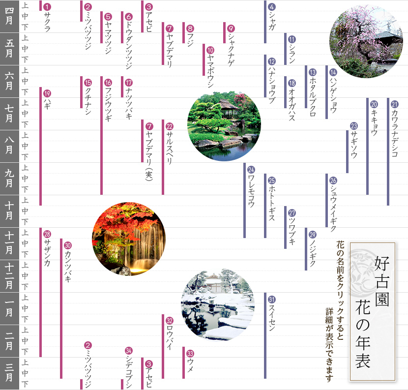 好古園花の年表　※花の名前をクリックすると詳細が表示できます。