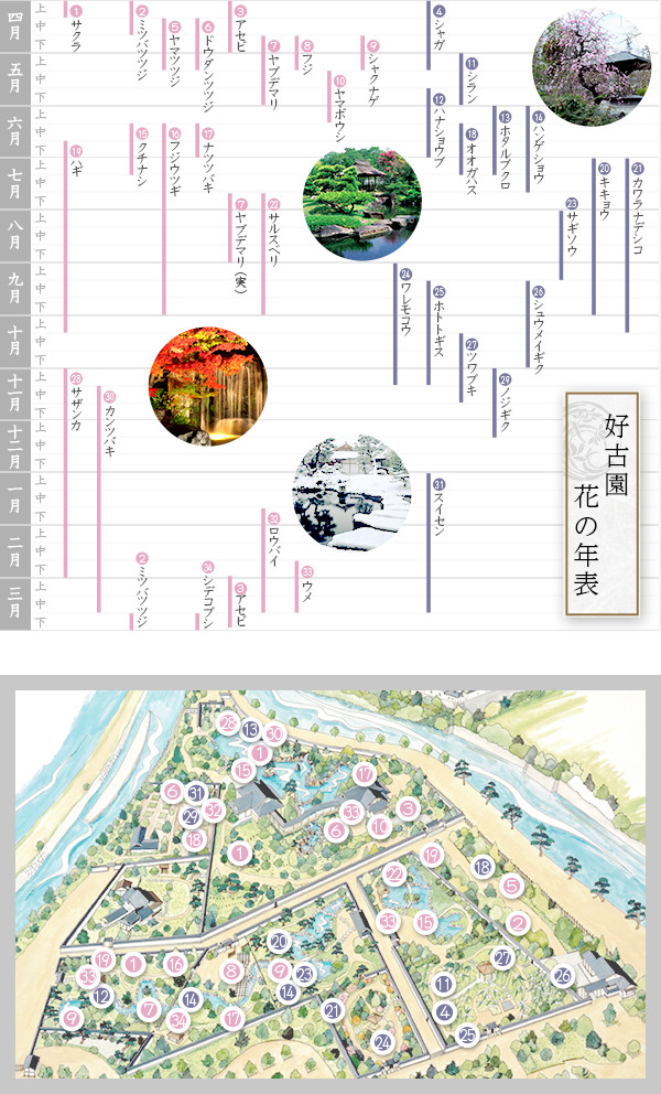 好古園花の年表・花地図（主な場所）