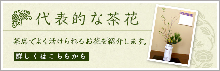 代表的な茶花 茶席でよく活けられるお花を紹介します。